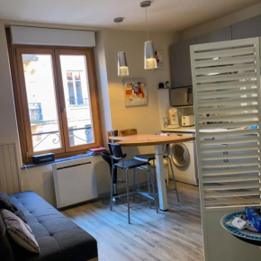Le Balcon Victoria - Pépinière & Canal -30m2